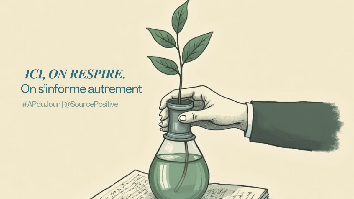 SourcePositive's tweet image. Ici, on respire. On s’informe autrement. Chaque jour, je partage 5 vraies bonnes nouvelles. Du concret. Du vérifié. Du positif. #APduJour 🌿    
                                     
📷 Suis@SourcePositive pour faire circuler ce qui va bien.