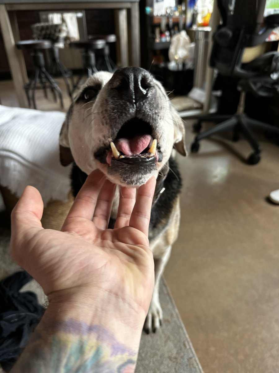 LordTrivia's tweet image. Late gm!