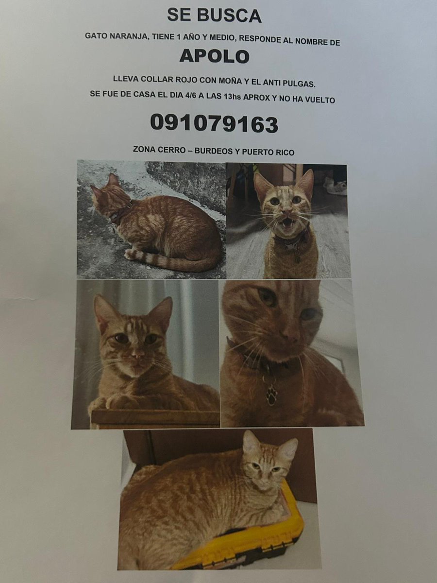 Compartan porfa gracias