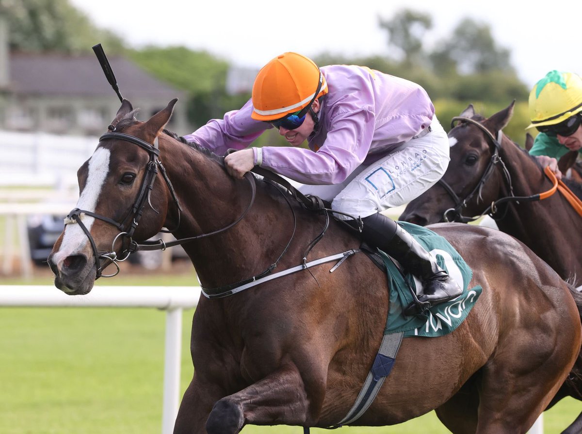 Navan Racecourse tweet media