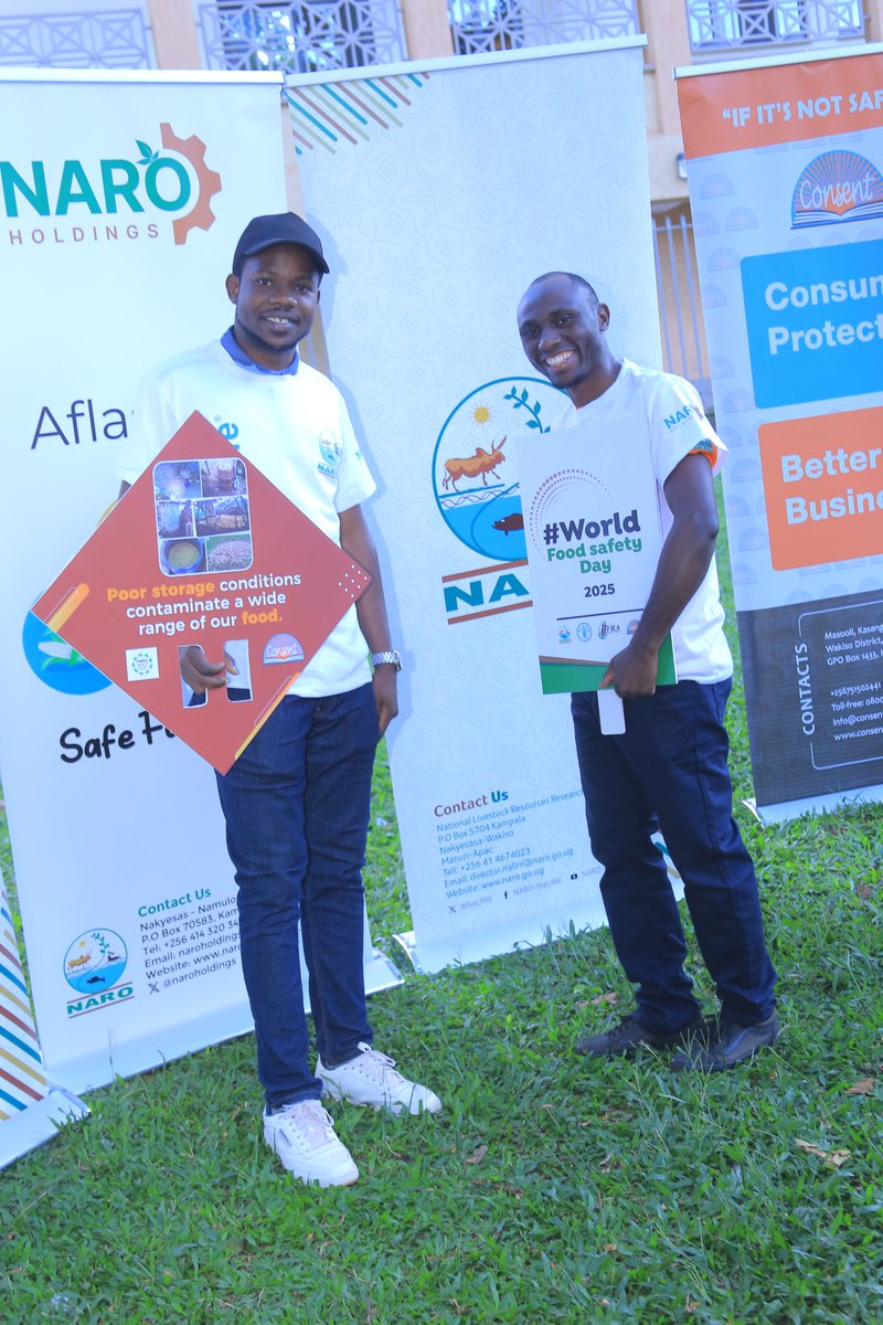 CONSENT🇺🇬 (@consentuganda) on Twitter photo Important awareness messages echoed during the #WorldFoodSafetyDay Aflatoxin Awareness Walk — a crucial step in spotlighting the hidden dangers of food contamination. Organised by <a href="/narouganda/">NARO Uganda</a>
#FoodSafety #ScienceInAction
<a href="/NPA_UG/">National Planning Authority 🇺🇬</a>
<a href="/maaif/">Marcella </a>
<a href="/MinofHealthUG/">Ministry of Health- Uganda</a> Important awareness messages echoed during the #WorldFoodSafetyDay Aflatoxin Awareness Walk — a crucial step in spotlighting the hidden dangers of food contamination. Organised by <a href="/narouganda/">NARO Uganda</a>
#FoodSafety #ScienceInAction
<a href="/NPA_UG/">National Planning Authority 🇺🇬</a>
<a href="/maaif/">Marcella </a>
<a href="/MinofHealthUG/">Ministry of Health- Uganda</a>
