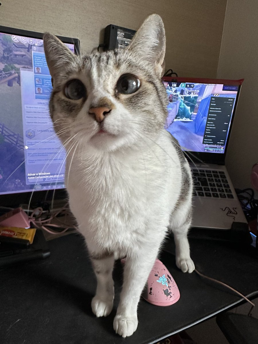 No caso estou tentando assistir o #VALORANTMasters pq a Nala não deixa! 🙄