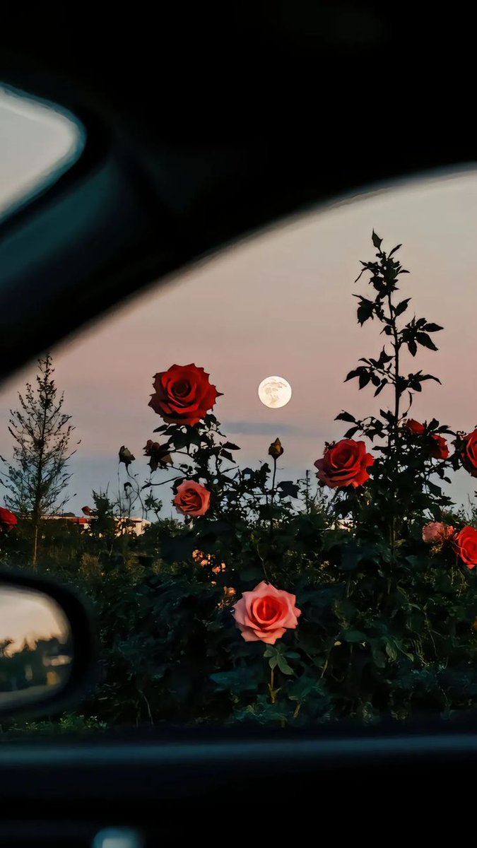 MOON (@moon4pics) on Twitter photo 