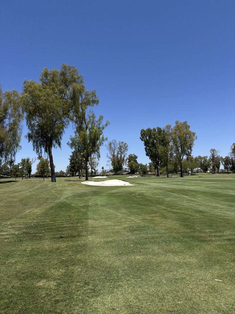 kempton_timothy's tweet image. Shot a 81
No golf shoes
Pants 
99 degrees 
Never doubt me