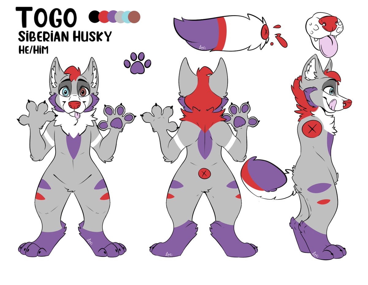 Reiya The Dutchie (Togo) tweet media