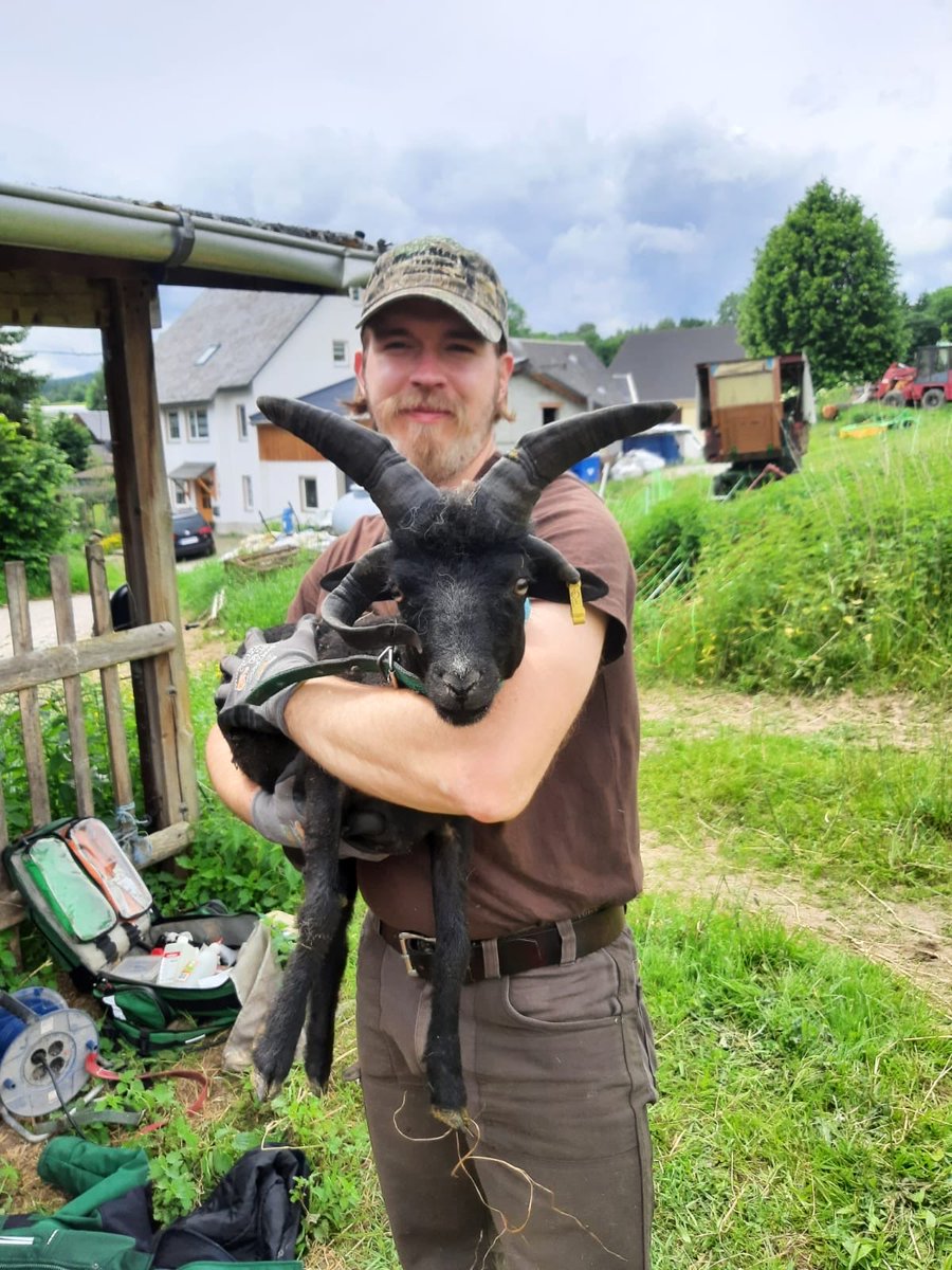 Daniel P. tweet media