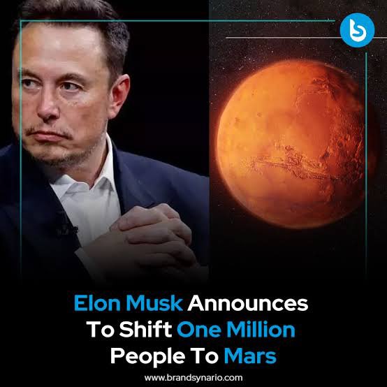 <a href="/elonmusk/">Elon Musk</a> You should start focusing on Mission Mars. For now, you are the only person who can make life multiplanetary.