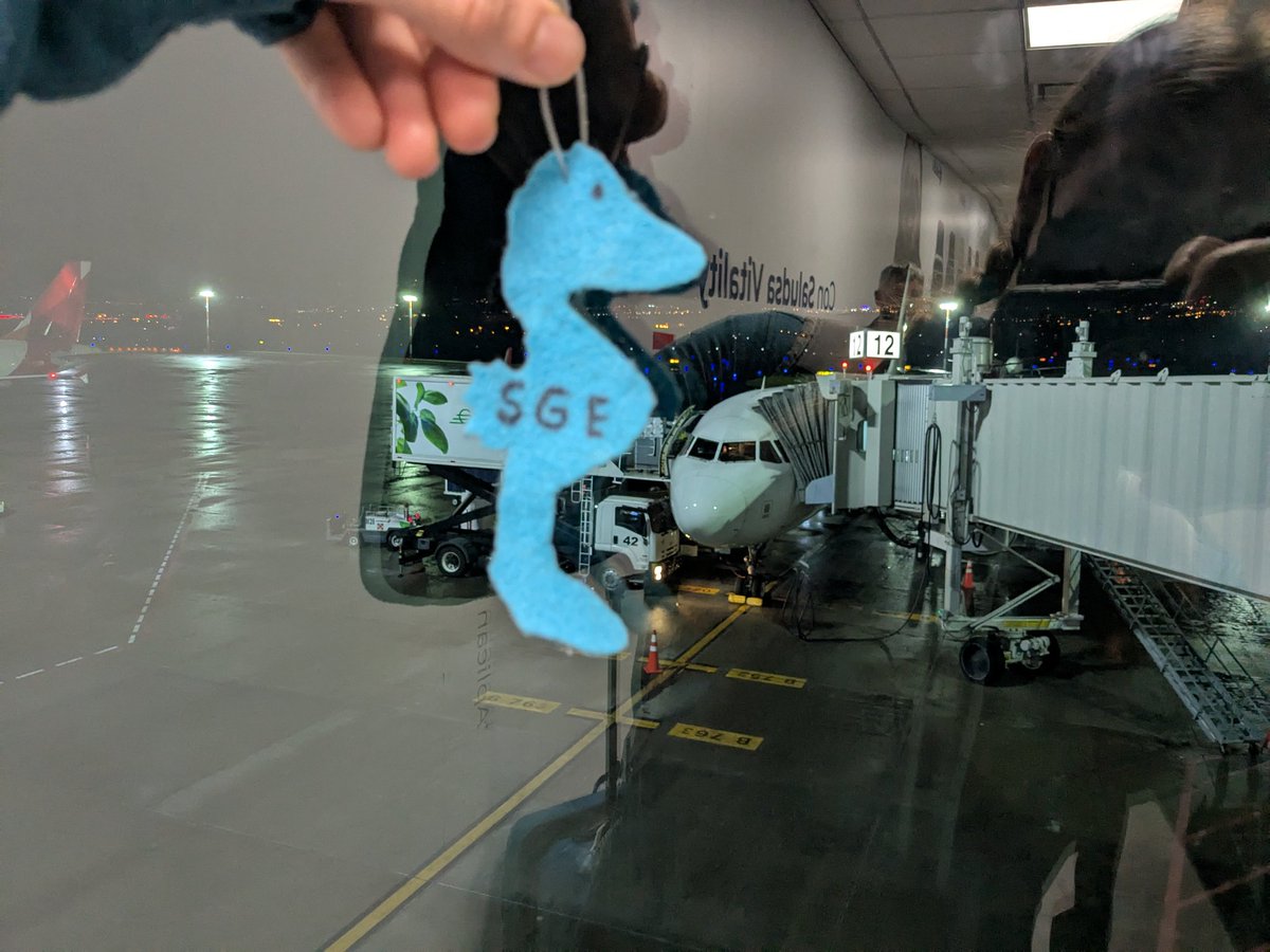 Ms.Stetson (@seagatemc) on Twitter photo Oh where in the world is Flat Sammy adventuring to this summer? 🌎 ✈️ Oh where in the world is Flat Sammy adventuring to this summer? 🌎 ✈️