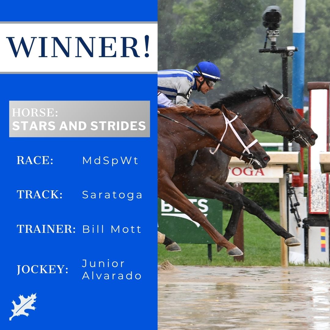 Pin Oak Stud (@pinoakstud) on Twitter photo They grow up so fast π₯Ή STARS AND STRIDES put in a gutsy performance to win a Saratoga maiden on debut! He showed just how tough he is πͺ Thank you, Bill Mott and <a href="/JuniorandKellyA/">Junior and Kelly Alvarado</a>!
Foal photo from his breeder, Four Pillars Holding/Samantha Brok-Potts π They grow up so fast π₯Ή STARS AND STRIDES put in a gutsy performance to win a Saratoga maiden on debut! He showed just how tough he is πͺ Thank you, Bill Mott and <a href="/JuniorandKellyA/">Junior and Kelly Alvarado</a>!
Foal photo from his breeder, Four Pillars Holding/Samantha Brok-Potts π