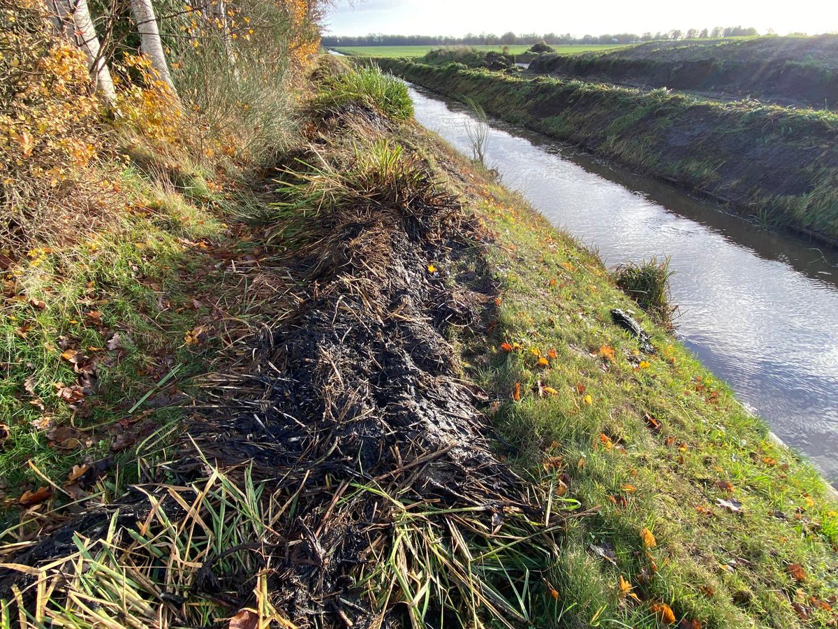 boerinhendrika's tweet photo. Wij maken vd ‘#botanische_hooilandrand’ hooi voor de kalveren. We voeren het maaisel af als #hooi Als het waterschap de waterschapssloten schoonmaakt, deponeren ze het maaisel op het schouwpad. Schoon #oppervlaktewater, hoe dan?!🤔🤷🏼‍♀️ https://t.co/oPoor8hexX