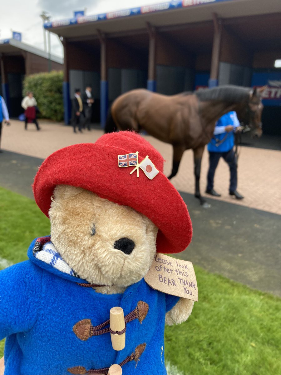 Hiroshi Suzuki tweet media