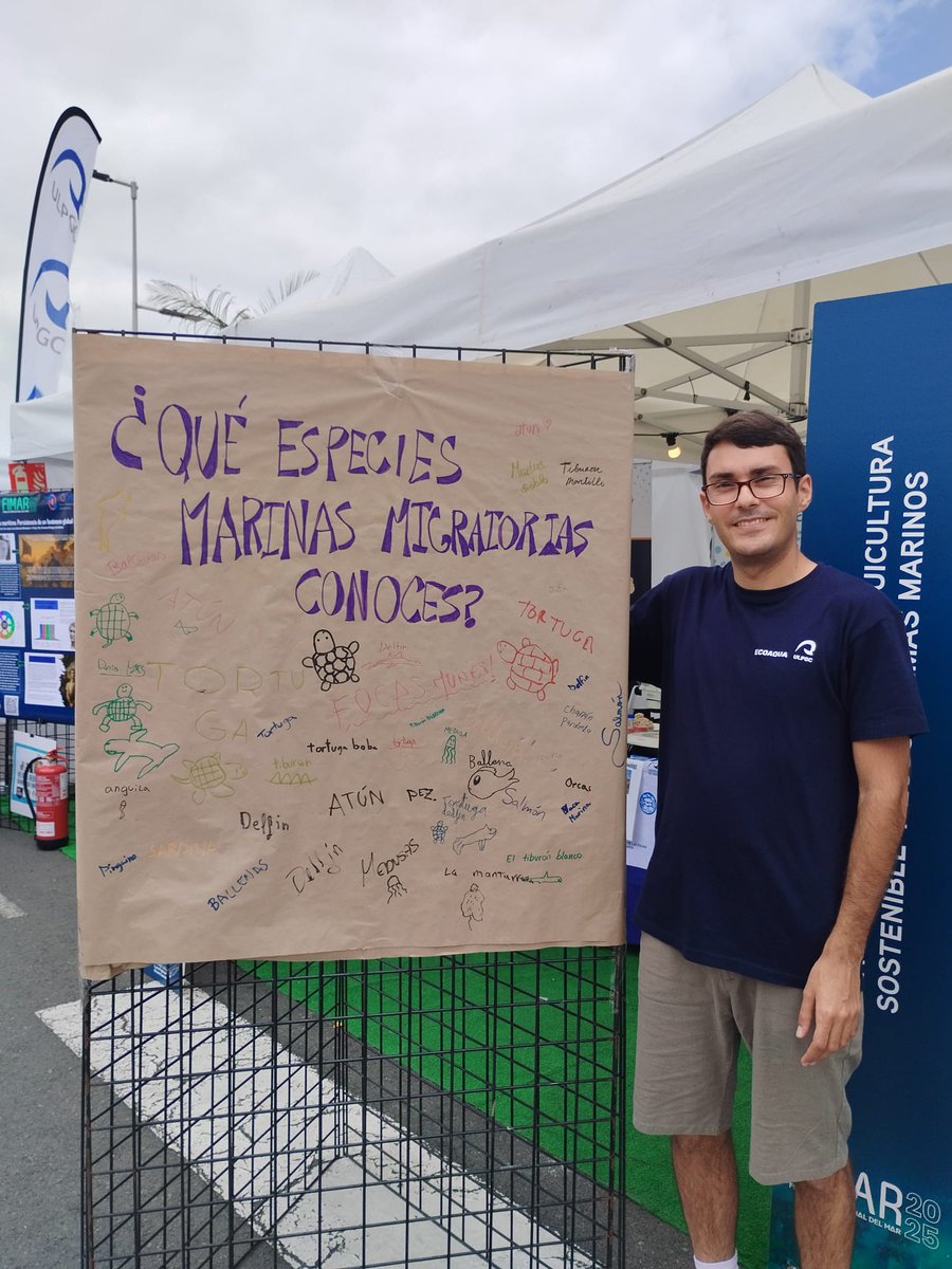 LifeWatchERIC's tweet image. 🦀Are you sure to know the ocean?🐙

📢Join us at @ECOAQUA_ULPGC  stand and test yourself: we have prepared a mural for people to write answers relating to #ocean #literacy, with a special focus on #marine #migratory #species

📽️ Watch our trailer bit.ly/458vn3H