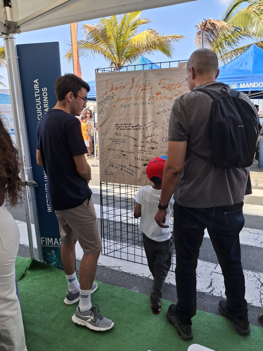 LifeWatchERIC's tweet image. 🦀Are you sure to know the ocean?🐙

📢Join us at @ECOAQUA_ULPGC  stand and test yourself: we have prepared a mural for people to write answers relating to #ocean #literacy, with a special focus on #marine #migratory #species

📽️ Watch our trailer bit.ly/458vn3H