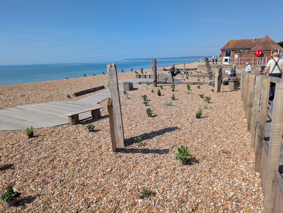 Community Supporters tweet media