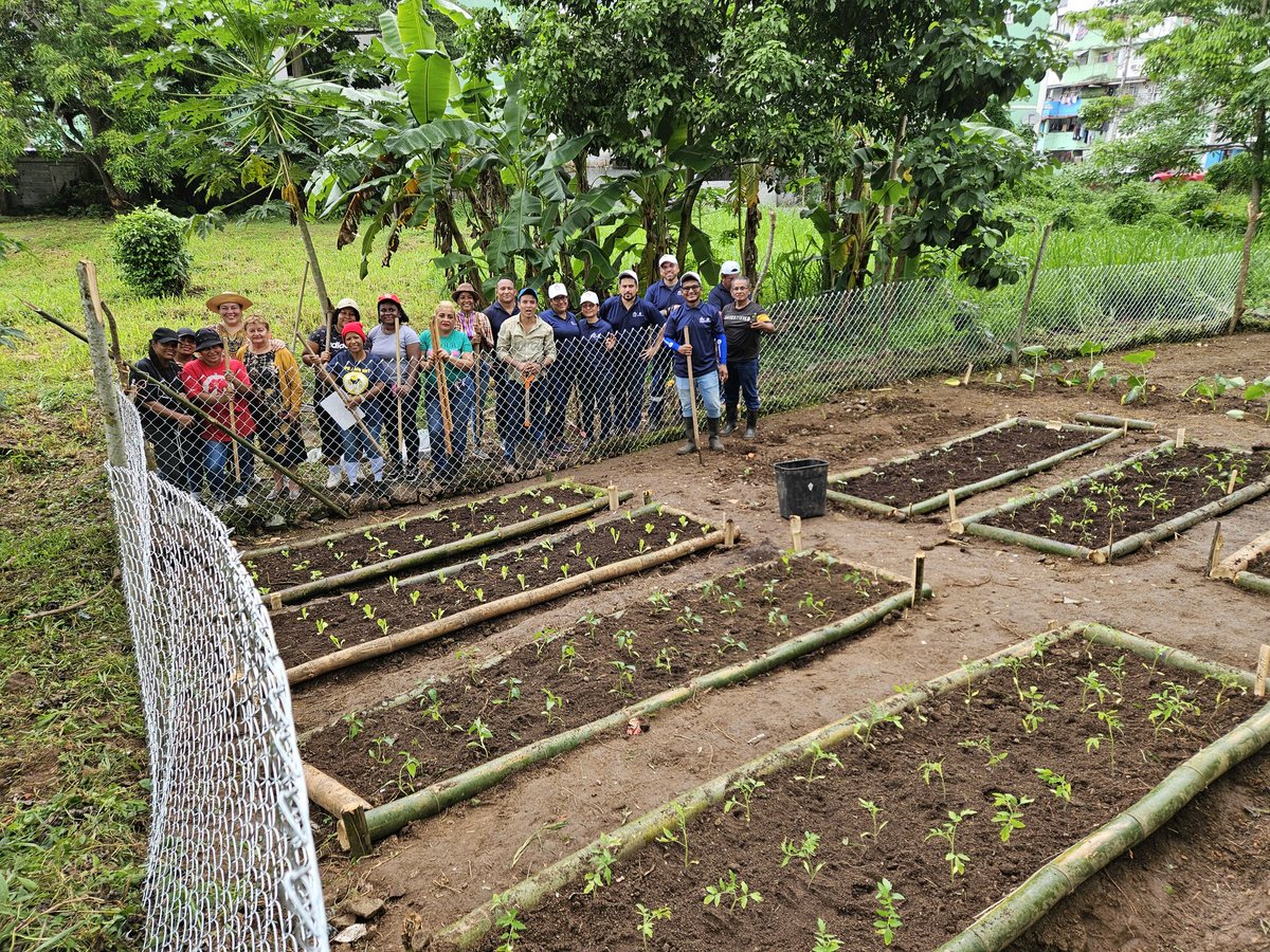 cimufpanama's tweet photo. 🌱🏳️‍🌈🏳️‍⚧️ 1ra etapa de nuestra huerta comunitaria en Curundú ✅️. Sembramos vida en una tierra herida por la violencia y el abandono. Cultivamos soberanía, comunidad y esperanza. Ahora toca cuidarla, sostenerla y hacer crecer la vida.  #CIMUF 
Gracias @CajadeAhorrosPA 💜 https://t.co/3k3FYdNXcm