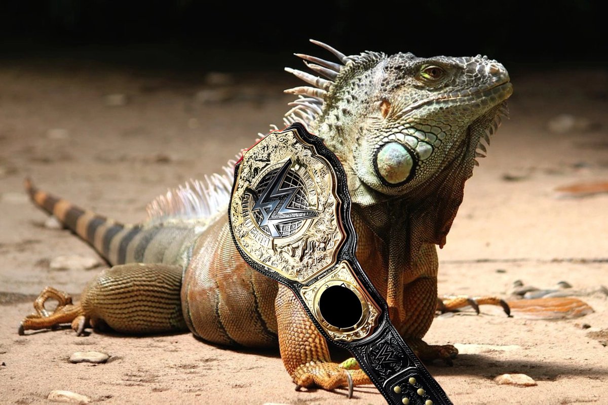 miguelrdgz25's tweet image. La yesca #WorldsCollide #WWEWorldsCollide  #TripleA