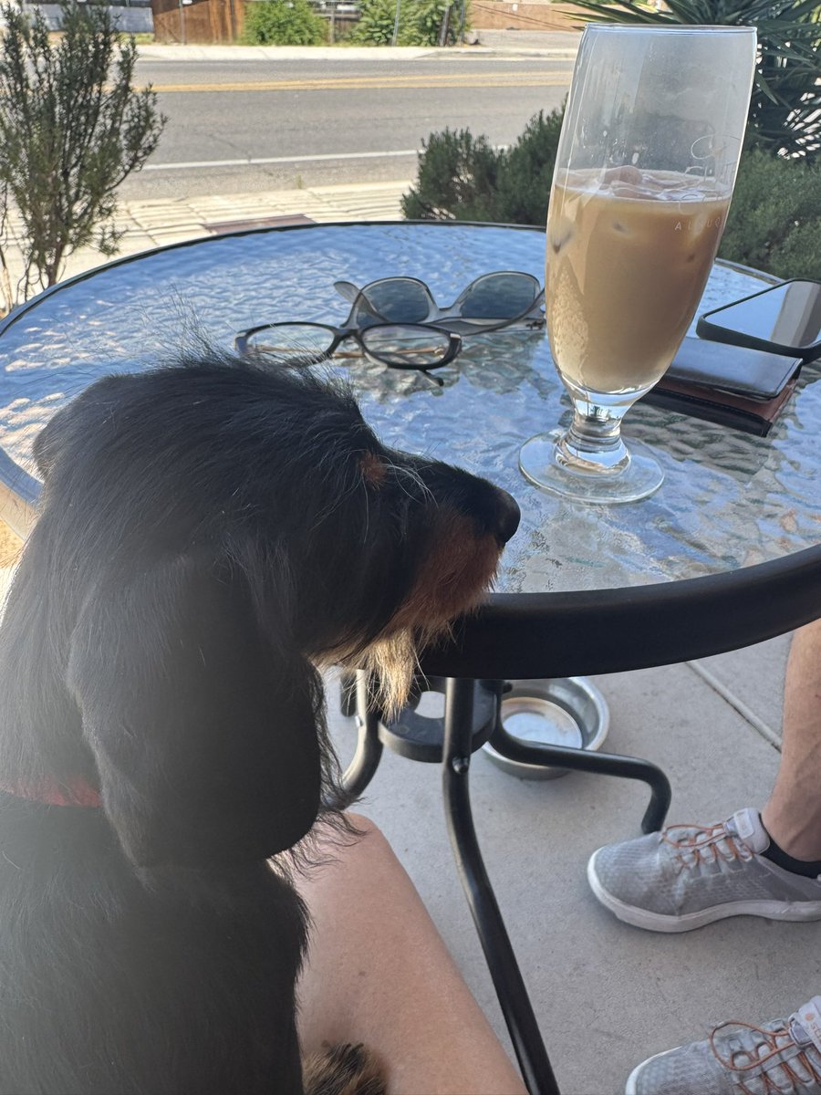 Jessica Garate (@krqegarate) on Twitter photo Saturday Stroll with the pups and <a href="/RCangiolosi/">Ryan Cangiolosi</a> to <a href="/CutbowCoffee/">Cutbow Coffee</a> to read the newspaper. #perfectmorning #NMtrue Saturday Stroll with the pups and <a href="/RCangiolosi/">Ryan Cangiolosi</a> to <a href="/CutbowCoffee/">Cutbow Coffee</a> to read the newspaper. #perfectmorning #NMtrue