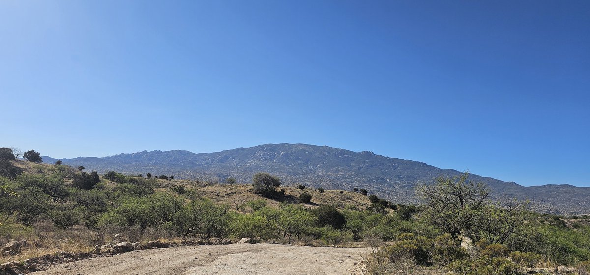 CypherTucson (@nyfteeoriginal) on Twitter photo Just a few spots in the Rincon Mountains. Nothing to see here.
<a href="/ReelLifeJustin/">Justin Posey</a>
#theresgold
#Justinposeytreasure
#taketheride Just a few spots in the Rincon Mountains. Nothing to see here.
<a href="/ReelLifeJustin/">Justin Posey</a>
#theresgold
#Justinposeytreasure
#taketheride
