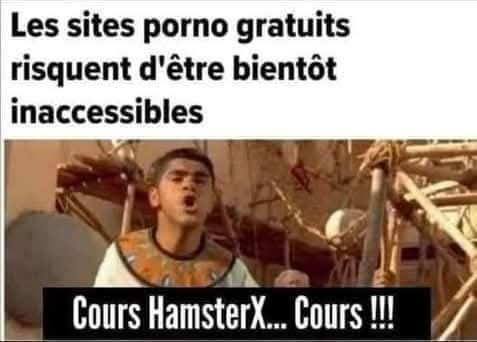 gotpumbaa's tweet image. 