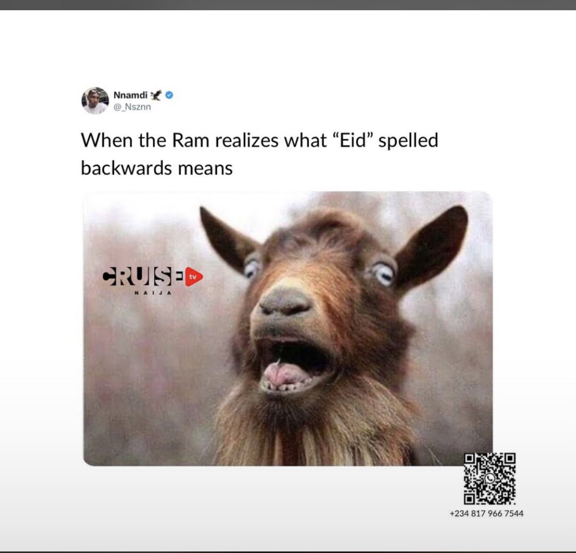 Pek2982's tweet photo. 😂 even ram Dey fear to die https://t.co/WOsZrS2Iuk