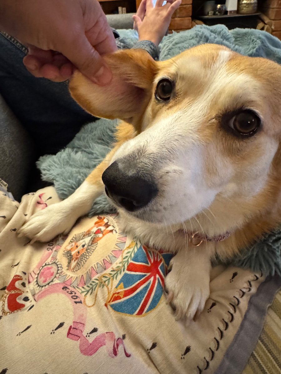 Sock company: why are there bite marks in your socks?

Me: no idea…