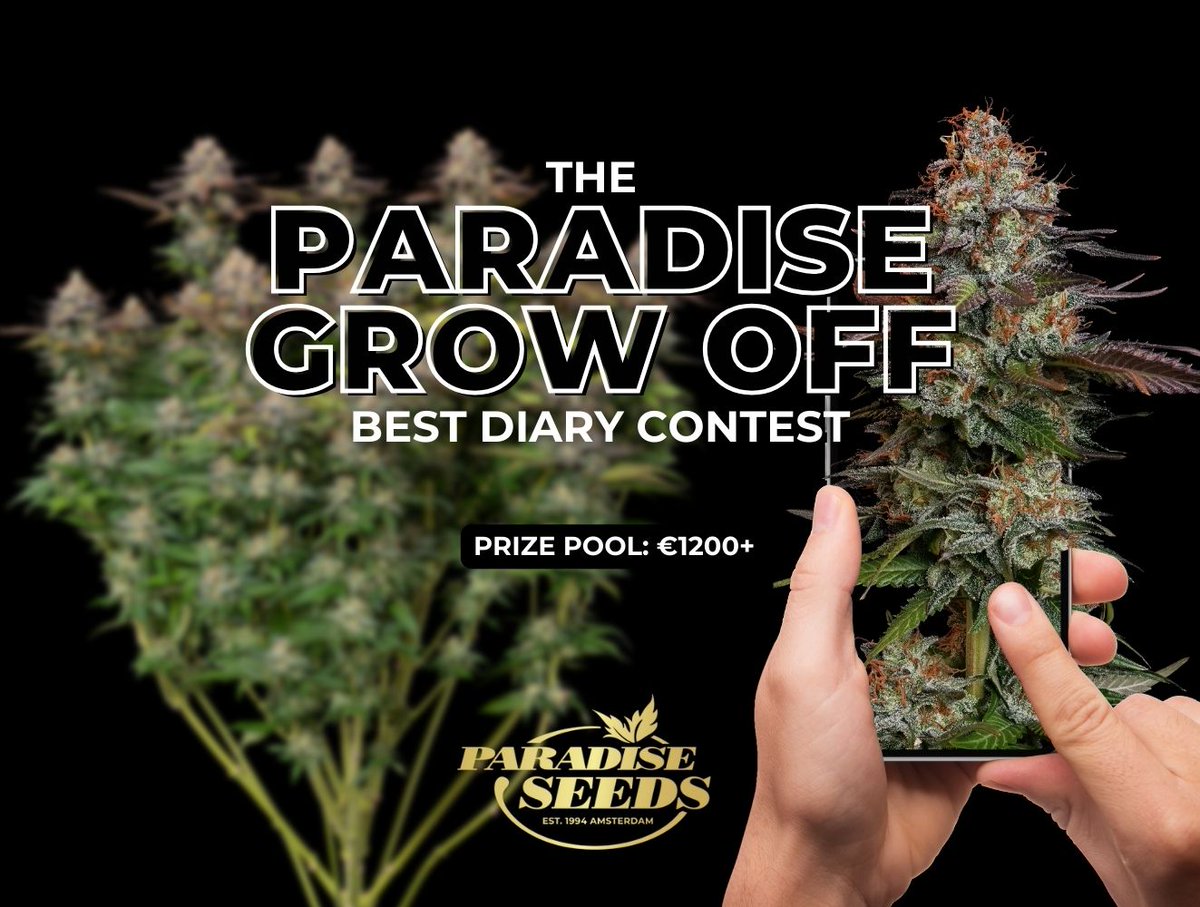 📢 Showcase the fruits of your labour in our Paradise Grow Off contest! 

Dust off your old grow-diaries or start a new one; any Paradise variety is eligible to enter! Let's see what you've got 👉 bit.ly/4dMlTx6 

🗓️ Ends on June 30th
🌎 Open to EU &amp; US

#paradiseseeds