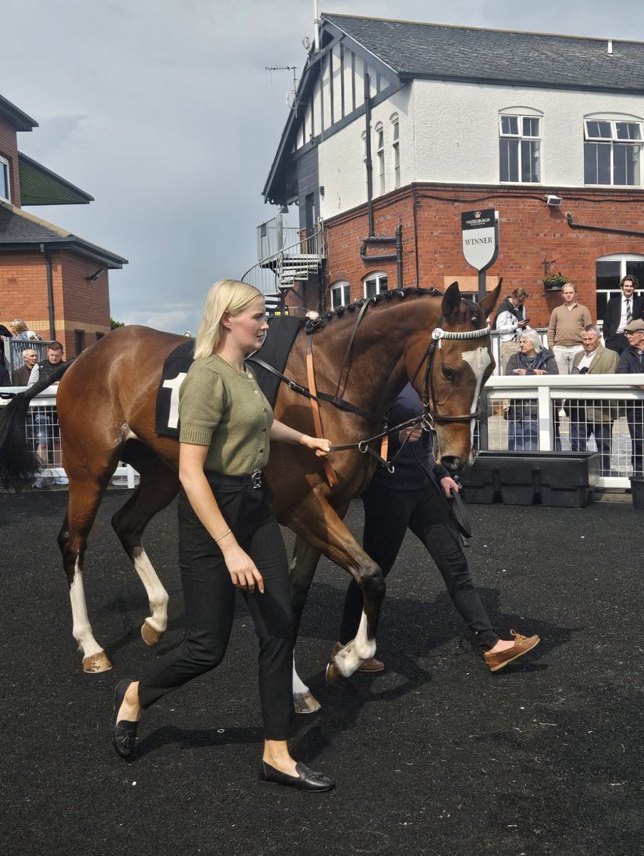 Luna A Inbhir Nis 🐎
<a href="/SummerstormBlo1/">Summerstorm Bloodstock</a>