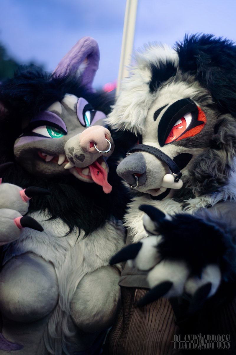 Danny 🗑️ tweet media