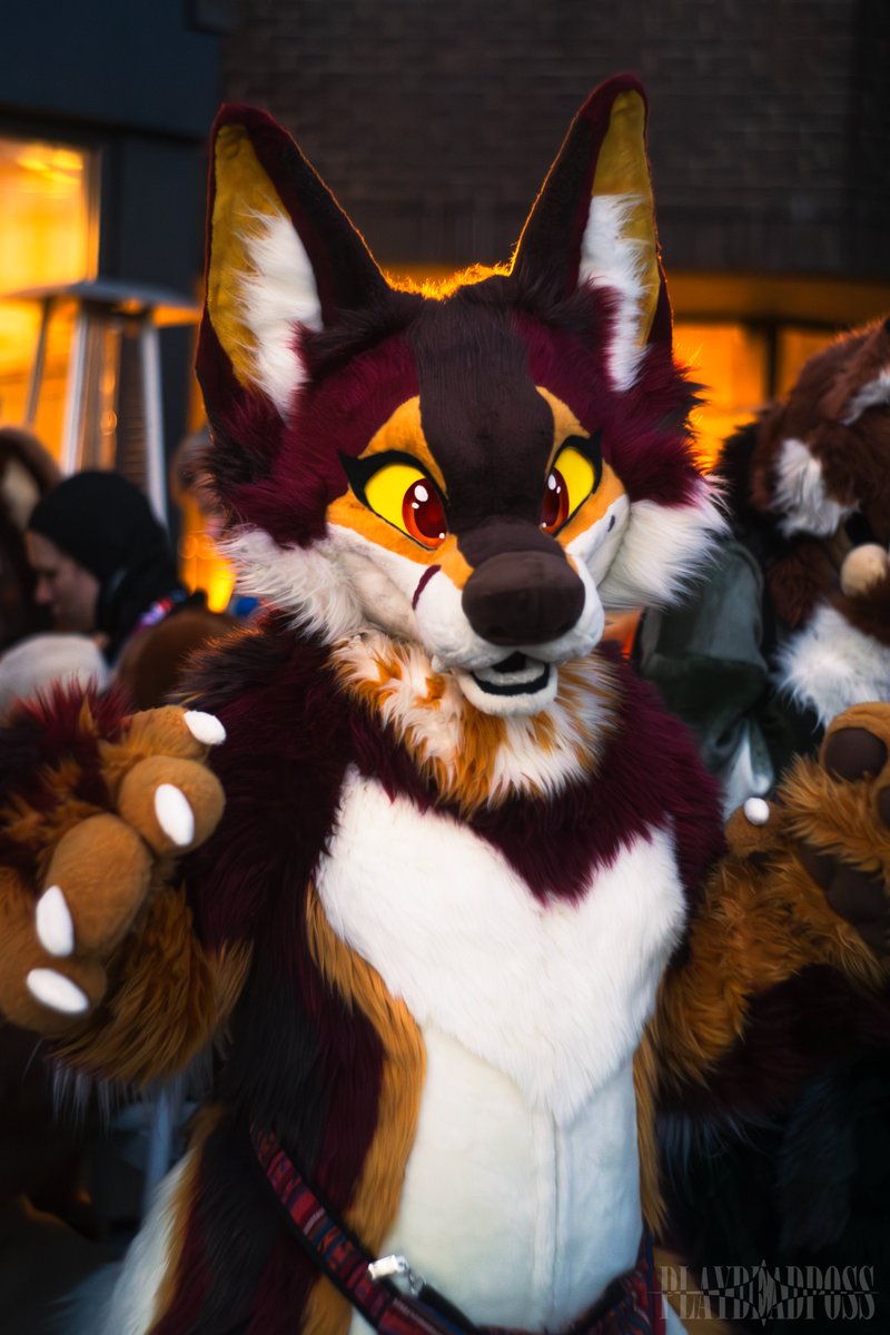 Danny 🗑️ tweet media