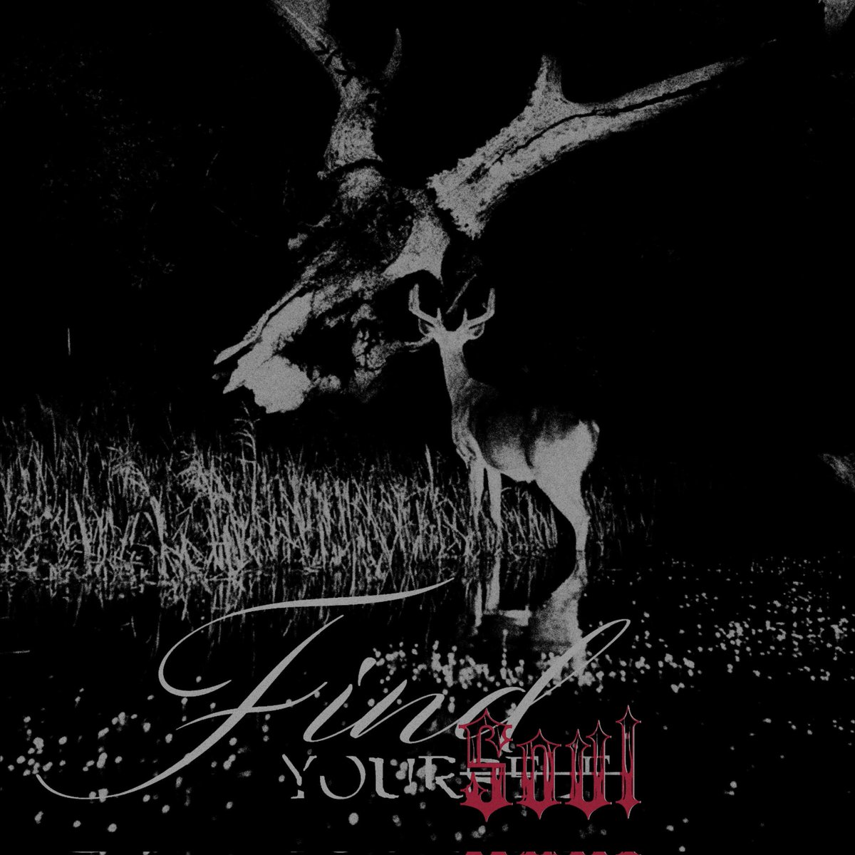 ᅟ❚❚ * ͟𝚲𝚂𝓹𝐄͟𝖢𝗧𝖀𝐌ᅟᅟ𝙲ⁱ ͟𝙽𝒆❚𝐀𝓽𝕴𝙲𝐮𝖅ᅟ. tweet media