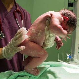 SCPediatria (@scped) on Twitter photo 🎙️Les extraordinàries primeres 24 hores de vida d'un nadó. Entrevista els pediatres Pepe Serrano <a href="/PepePediatre/">Pepe Serrano #Vacúnate 🙏</a> i Laura Castells al programa <a href="/Lletra_Lligada/">Lletra Lligada</a> de <a href="/radio4_rne/">radio4_rne</a>
▶️cutt.ly/Rrmssky3 🎙️Les extraordinàries primeres 24 hores de vida d'un nadó. Entrevista els pediatres Pepe Serrano <a href="/PepePediatre/">Pepe Serrano #Vacúnate 🙏</a> i Laura Castells al programa <a href="/Lletra_Lligada/">Lletra Lligada</a> de <a href="/radio4_rne/">radio4_rne</a>
▶️cutt.ly/Rrmssky3