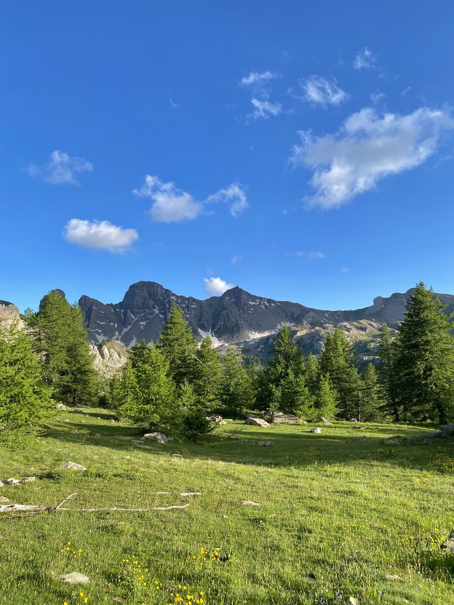 Today i went hiking in the southern Alps