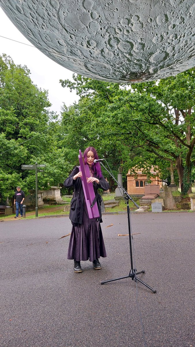 Our fantastic harpist tonight - come on down