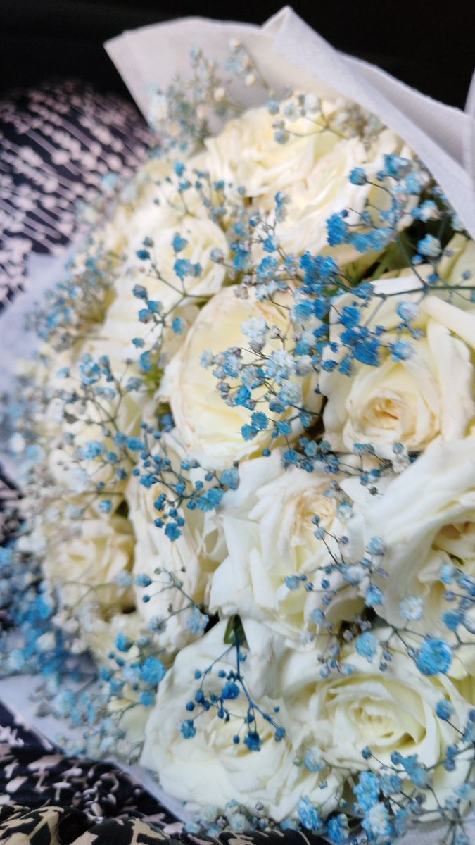 Radwaa178's tweet image. 