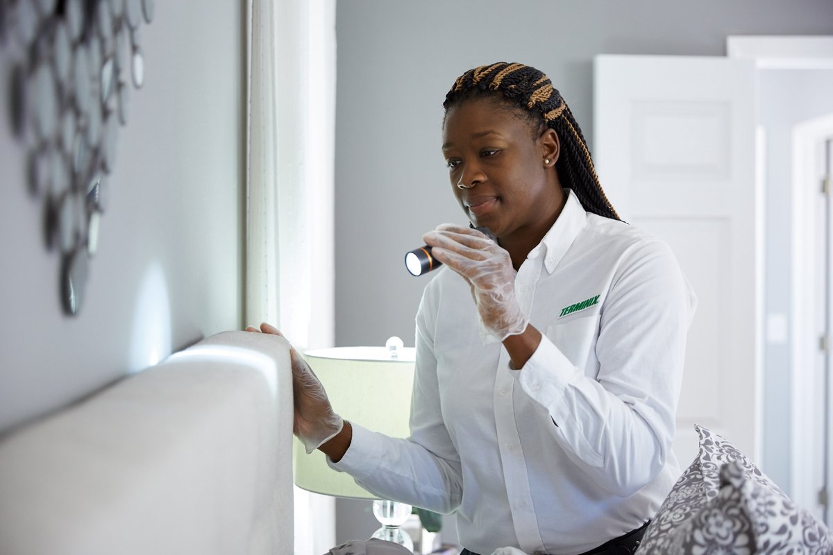 TrustTerminix's tweet image. Got bed bugs? Don’t panic—our expert pest control team is here to help! We offer thorough inspections and targeted treatments to ensure your home stays bed bug-free. Contact us today for peace of mind: bit.ly/4ioVLdq

#BedBugAwarenessWeek #TrustTerminix #bedbugs