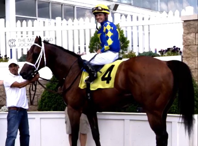 Eddie Woods Stables (@eddiewoods2yos) on Twitter photo 👑Stakes-placed #EddieWoodsStables grad NEW KING (4c Into Mischief) with a sharp allowance win going 6 furlongs at <a href="/LaurelPark/">The Maryland Jockey Club, Inc.</a>. Congrats!
b. 2500 Determined Stud
o.#SFRacing <a href="/StarlightRacing/">Starlight Racing</a> <a href="/MadaketStables/">MadaketStables</a> <a href="/TomRyanKY/">Tom Ryan</a> et al.
t.<a href="/BTRracingstable/">Brittany Russell Racing Stable</a>
j.<a href="/SheldonRussell1/">Sheldon Russell</a> 👑Stakes-placed #EddieWoodsStables grad NEW KING (4c Into Mischief) with a sharp allowance win going 6 furlongs at <a href="/LaurelPark/">The Maryland Jockey Club, Inc.</a>. Congrats!
b. 2500 Determined Stud
o.#SFRacing <a href="/StarlightRacing/">Starlight Racing</a> <a href="/MadaketStables/">MadaketStables</a> <a href="/TomRyanKY/">Tom Ryan</a> et al.
t.<a href="/BTRracingstable/">Brittany Russell Racing Stable</a>
j.<a href="/SheldonRussell1/">Sheldon Russell</a>