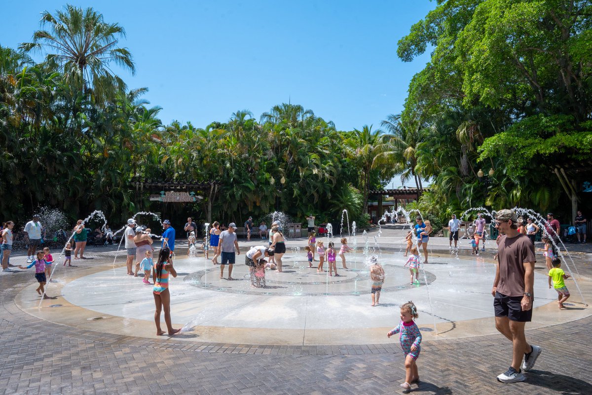 The Splash Pad is OPEN!

We'd like to thank you for your patience as we made repairs and renovations over the last several weeks. We know this feature is beloved by our guests and community which is why we wanted to make sure it performs as expected for years to come.