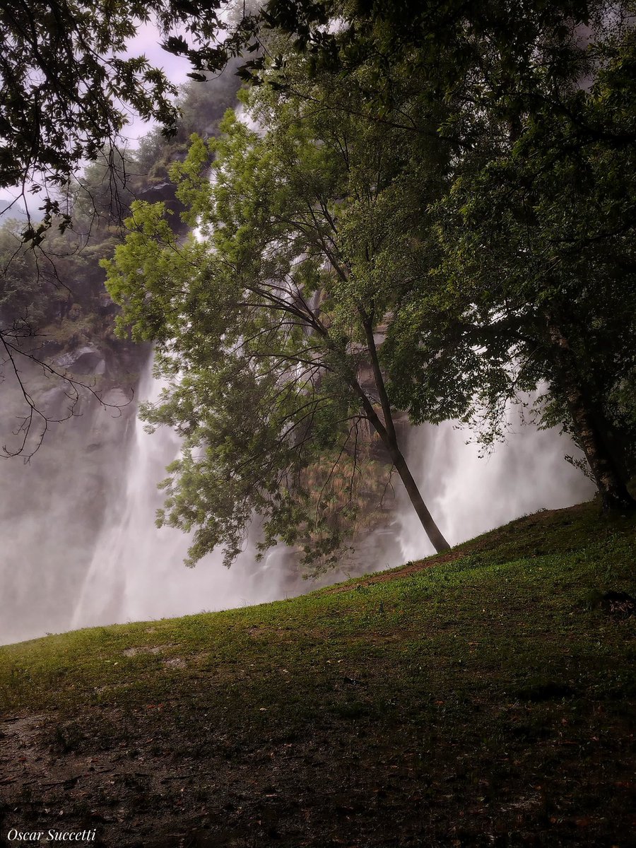 MassimoSertori_'s tweet photo. Le #Cascate dell’#Acquafraggia, a Borgonuovo di #Piuro, un vero e proprio spettacolo della #natura in #Valchiavenna.Ti conquistano da ogni lato da cui le si guarda. Per la bellezza selvaggia e per il loro doppio salto, sono state dichiarate Monumento naturale di #RegioneLombardia https://t.co/JCCoqaQyz4