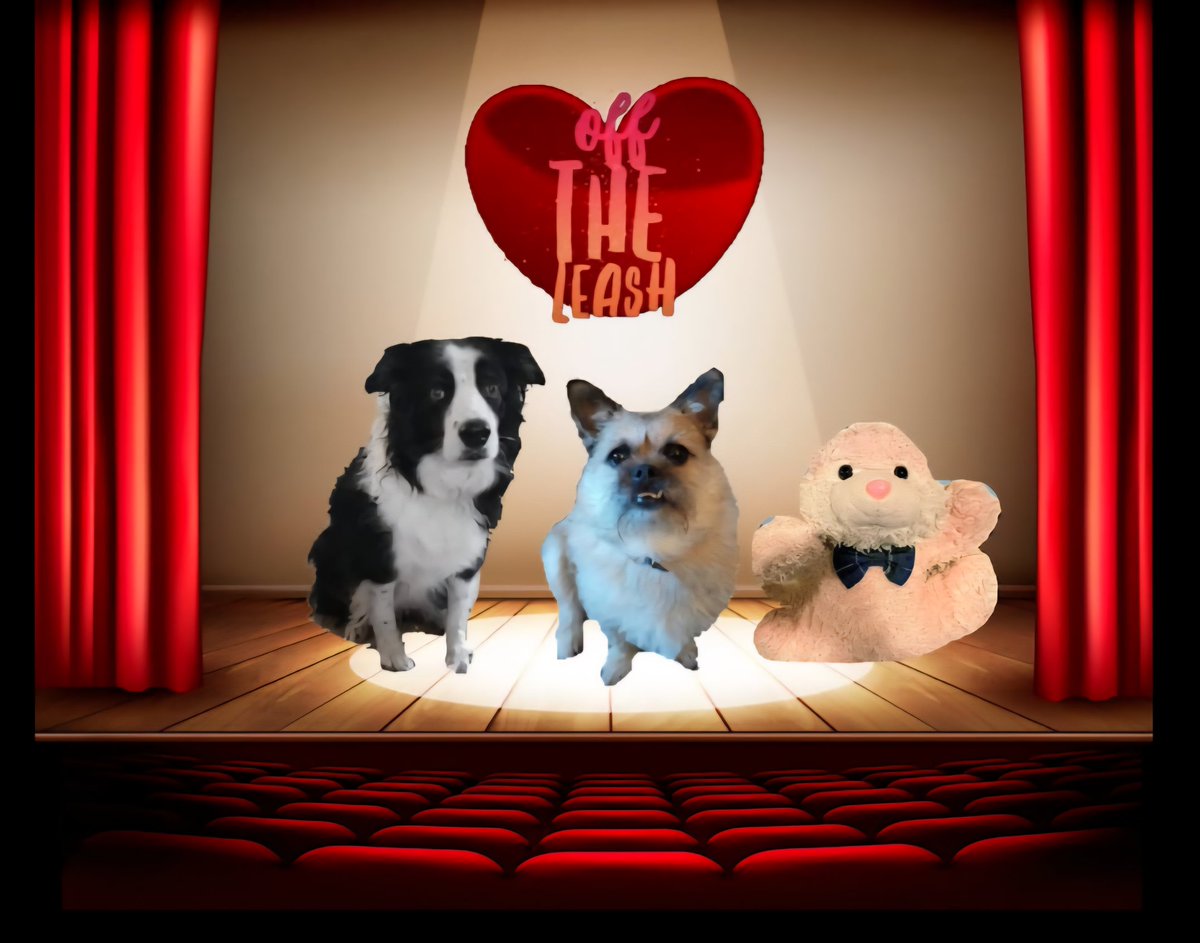 Pixie Tooth 🌈💔 tweet media