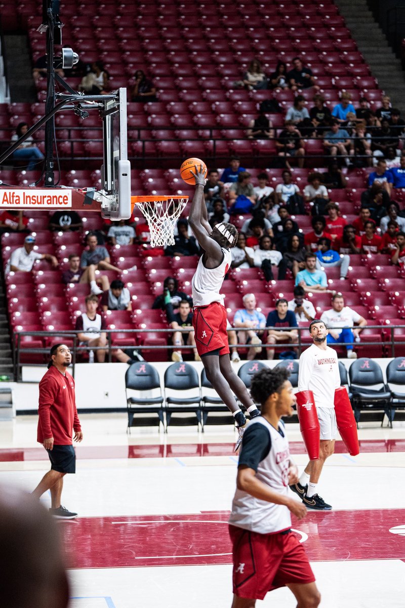 taylor bol bowen tweet media