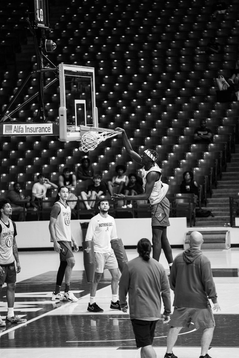 taylor bol bowen tweet media