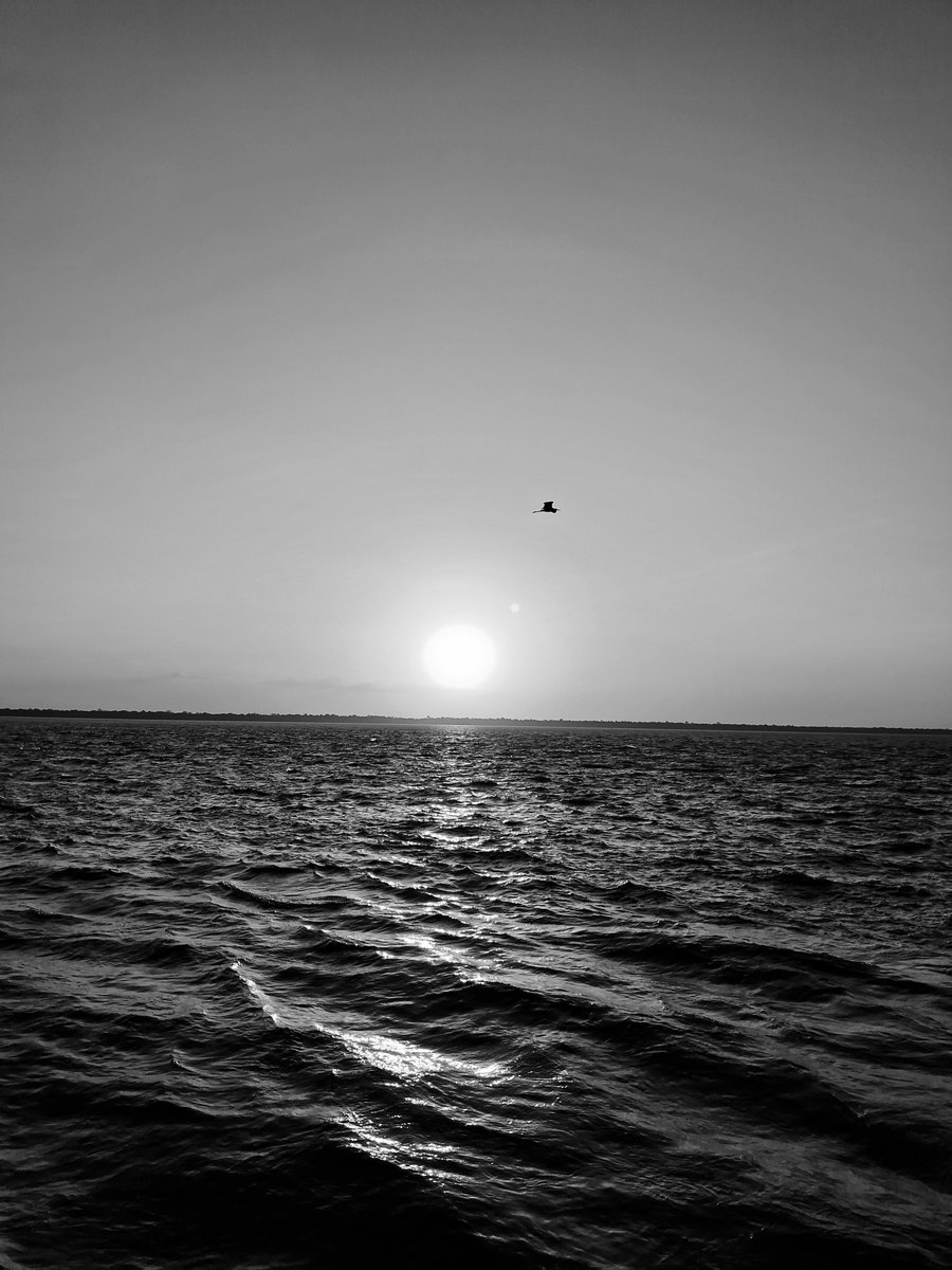 Belém PA
#PhotographyIsArt
#Belém