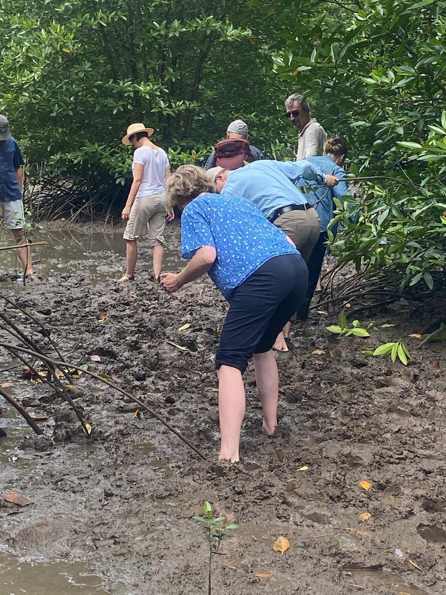 Víctor Villalobos Arámbula tweet media