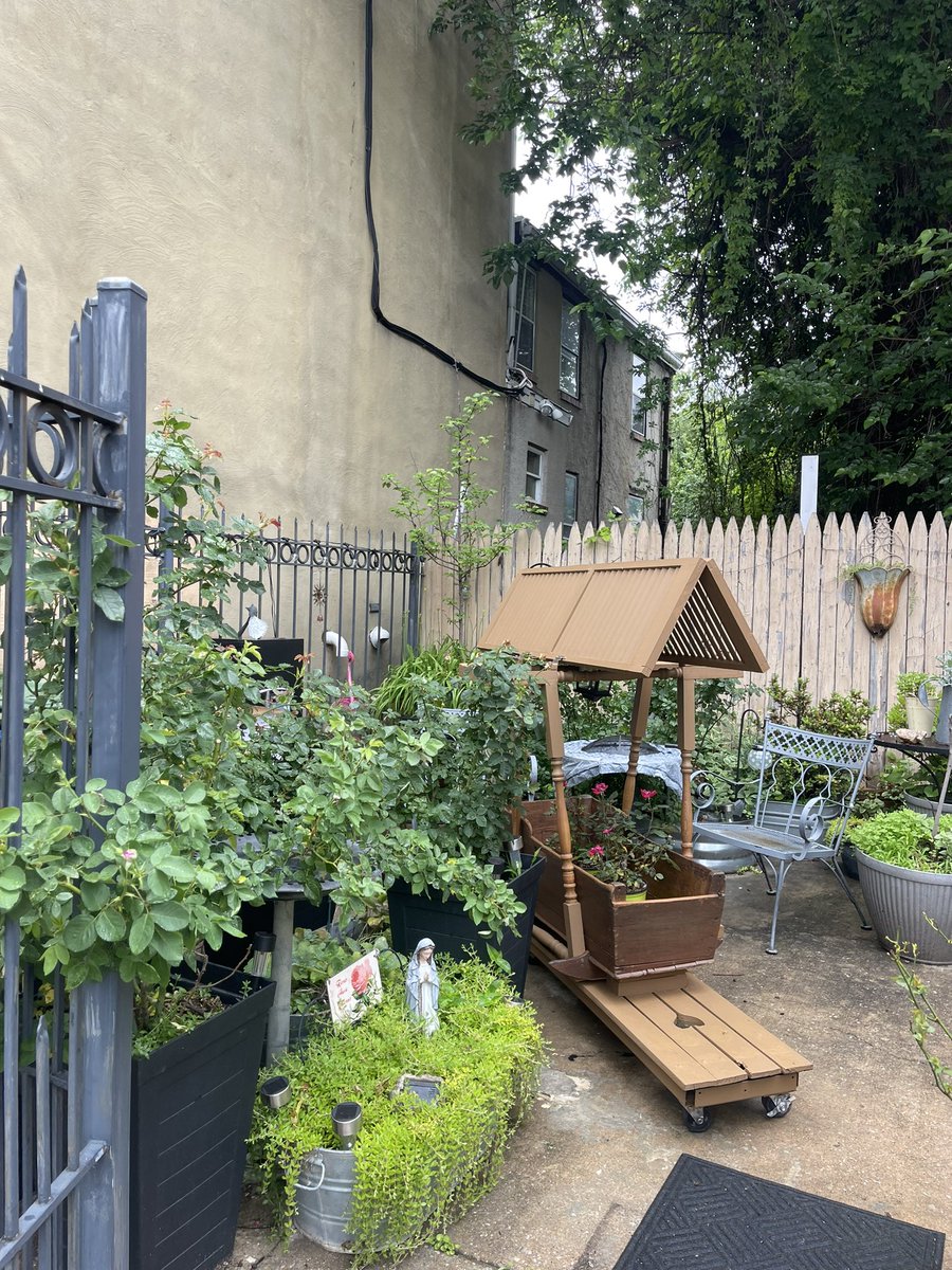 breanarossWBAL's tweet image. I enjoyed judging the Bloom Your Block competition in Union Square where neighbors beautify their doorsteps & blocks with plants, furniture, and more! We walked and judged over a dozen blocks. Here are some of the winners! @wbaltv11 #wbaltv11 #WBALInTheCommunity #HearstGivesBack