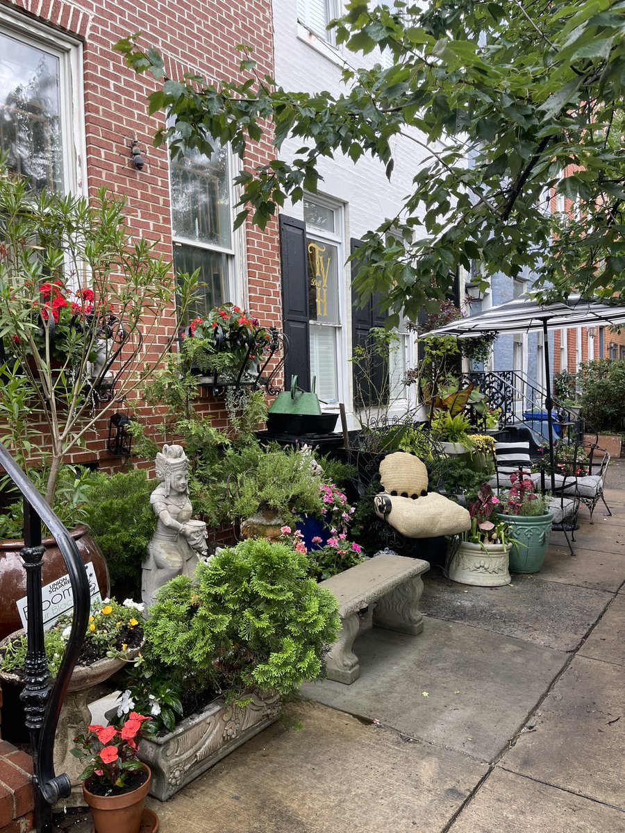 breanarossWBAL's tweet image. I enjoyed judging the Bloom Your Block competition in Union Square where neighbors beautify their doorsteps & blocks with plants, furniture, and more! We walked and judged over a dozen blocks. Here are some of the winners! @wbaltv11 #wbaltv11 #WBALInTheCommunity #HearstGivesBack