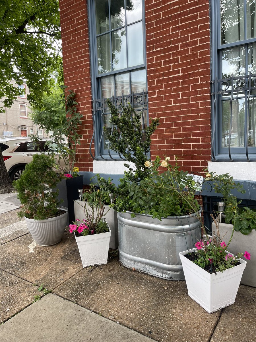 breanarossWBAL's tweet image. I enjoyed judging the Bloom Your Block competition in Union Square where neighbors beautify their doorsteps & blocks with plants, furniture, and more! We walked and judged over a dozen blocks. Here are some of the winners! @wbaltv11 #wbaltv11 #WBALInTheCommunity #HearstGivesBack