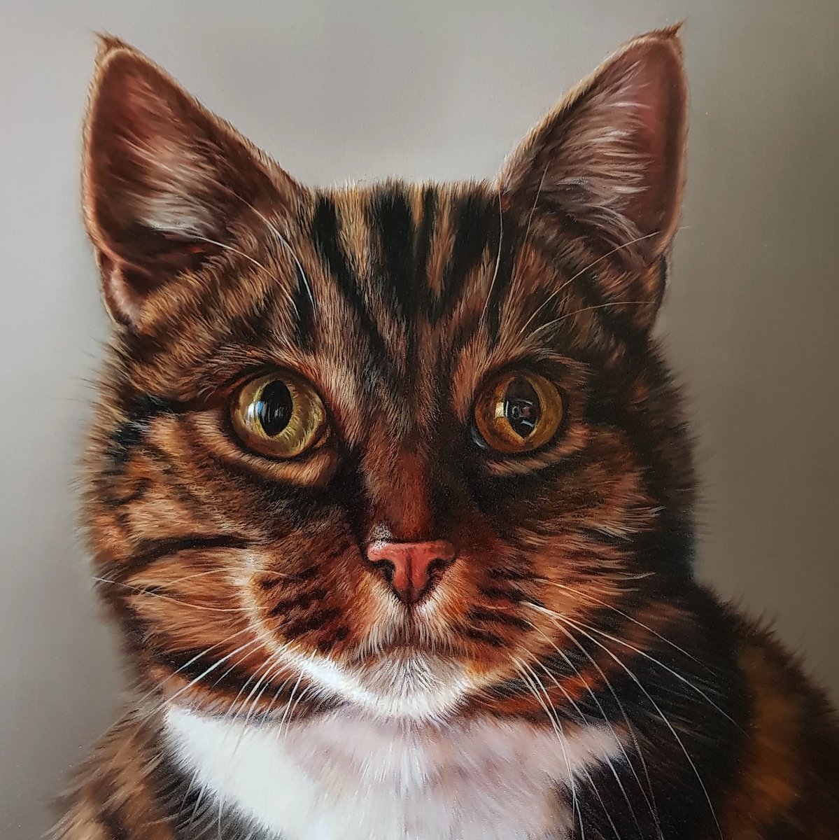 There's just something about a cat's eyes that I find mesmerising. Whether you're a cat or a dog person (or both like me), there's no denying the beauty and agility of our feline friends. 

'Tommy', Oil on board, 16 x 16"

#cat #cats #cats_of_instagram #catsofinstagram #catlover