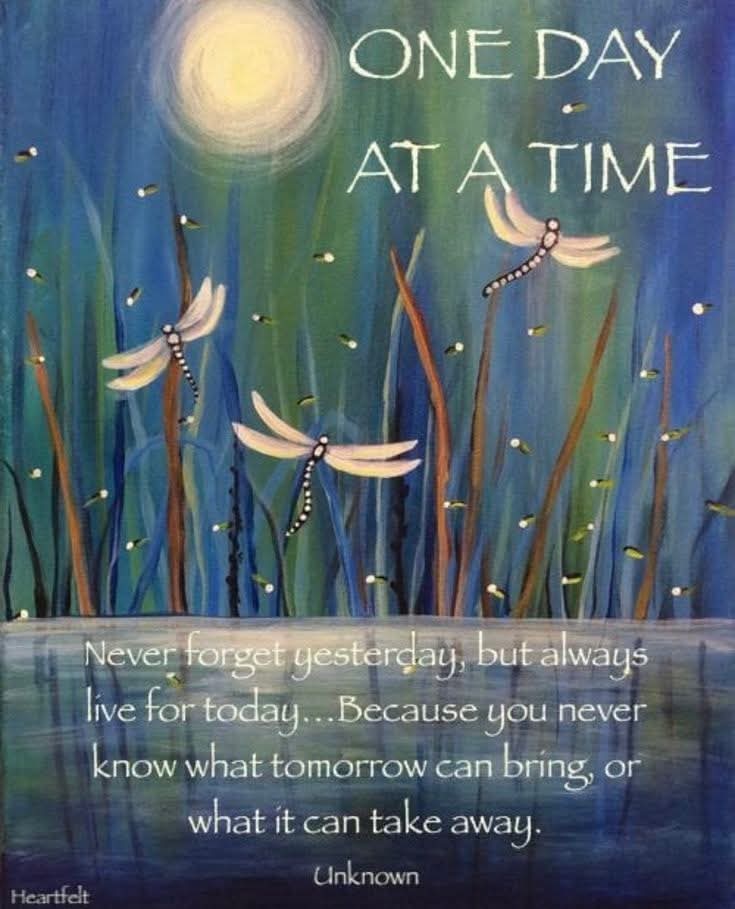 Sharon1164 (@sharon11641) on Twitter photo 