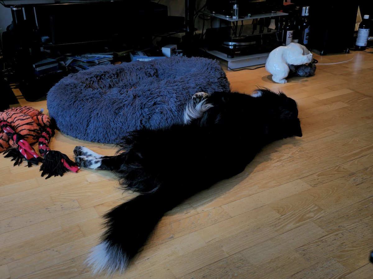 En som er sliten og trøtt etter en lang dag med mye aktivitet.