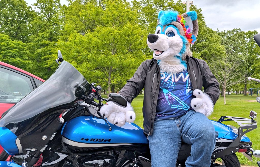 🐕🏍️💨